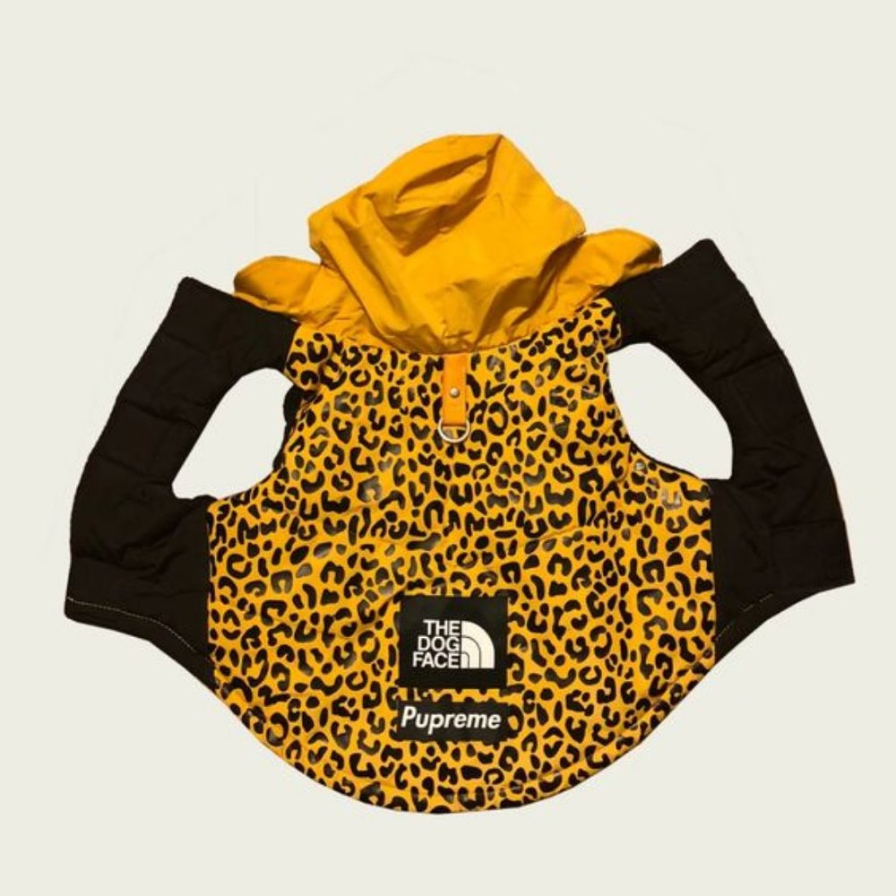 ISO: Pawmain Pets Cheetah Bomber Yellow Dog Jacket